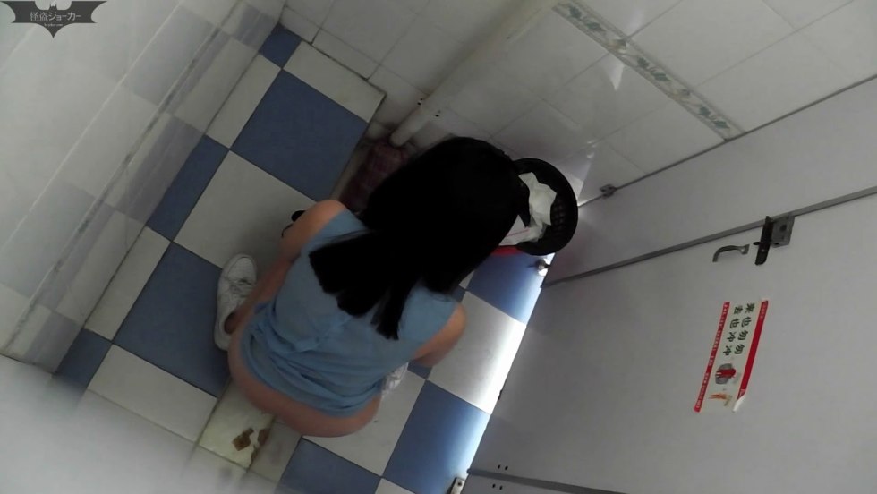 Hidden video cameras in the toilet