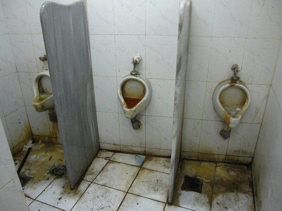 The girl sucked a dick in the toilet