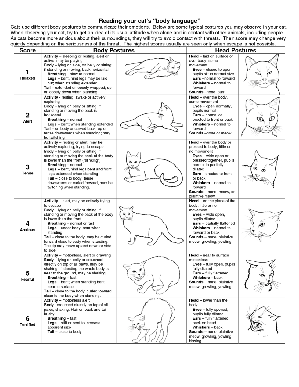 Cat language table