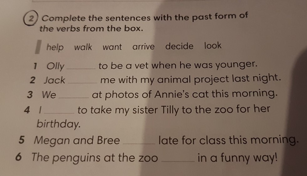 Complete the Sentences