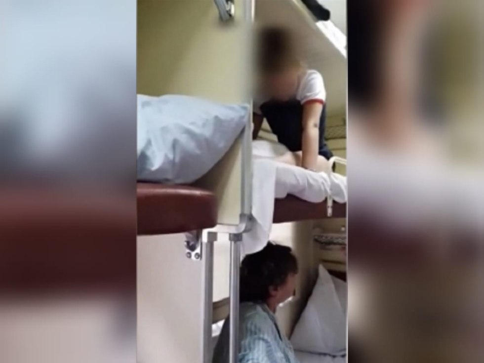 Summary of the developer