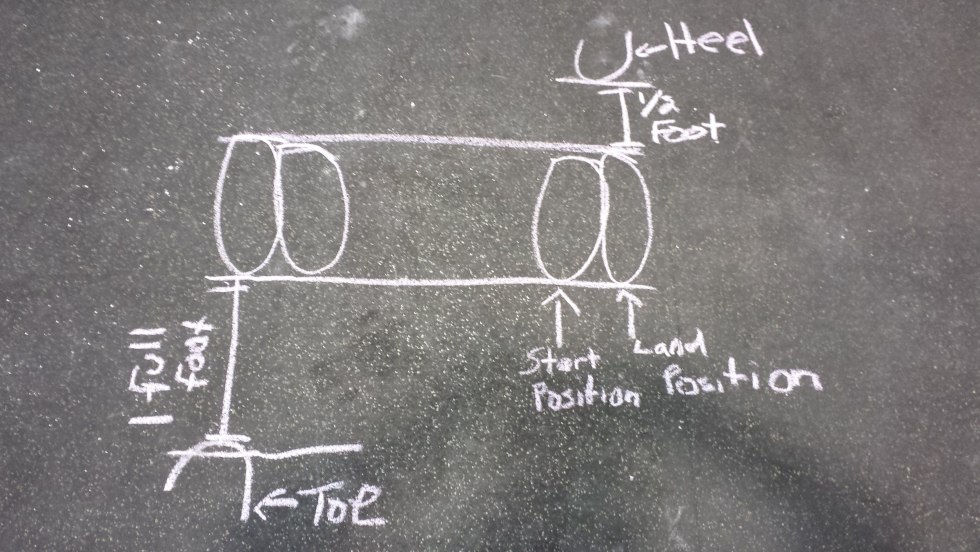 Water Lilies Film 2007