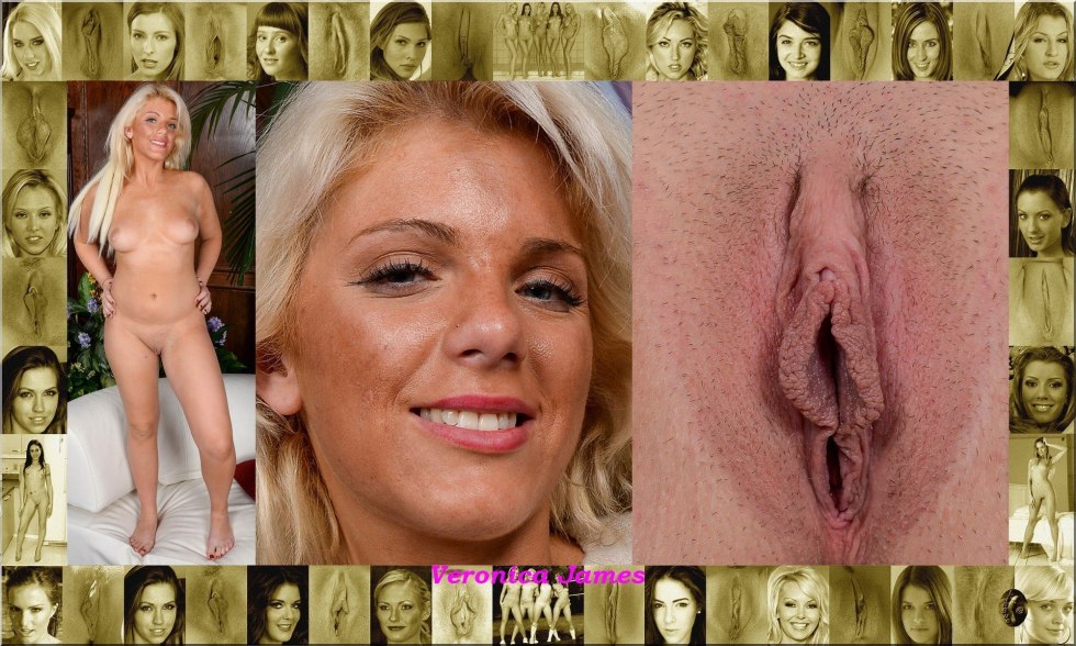 Faces and vaginas of pornses