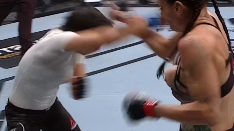 Several beautiful members