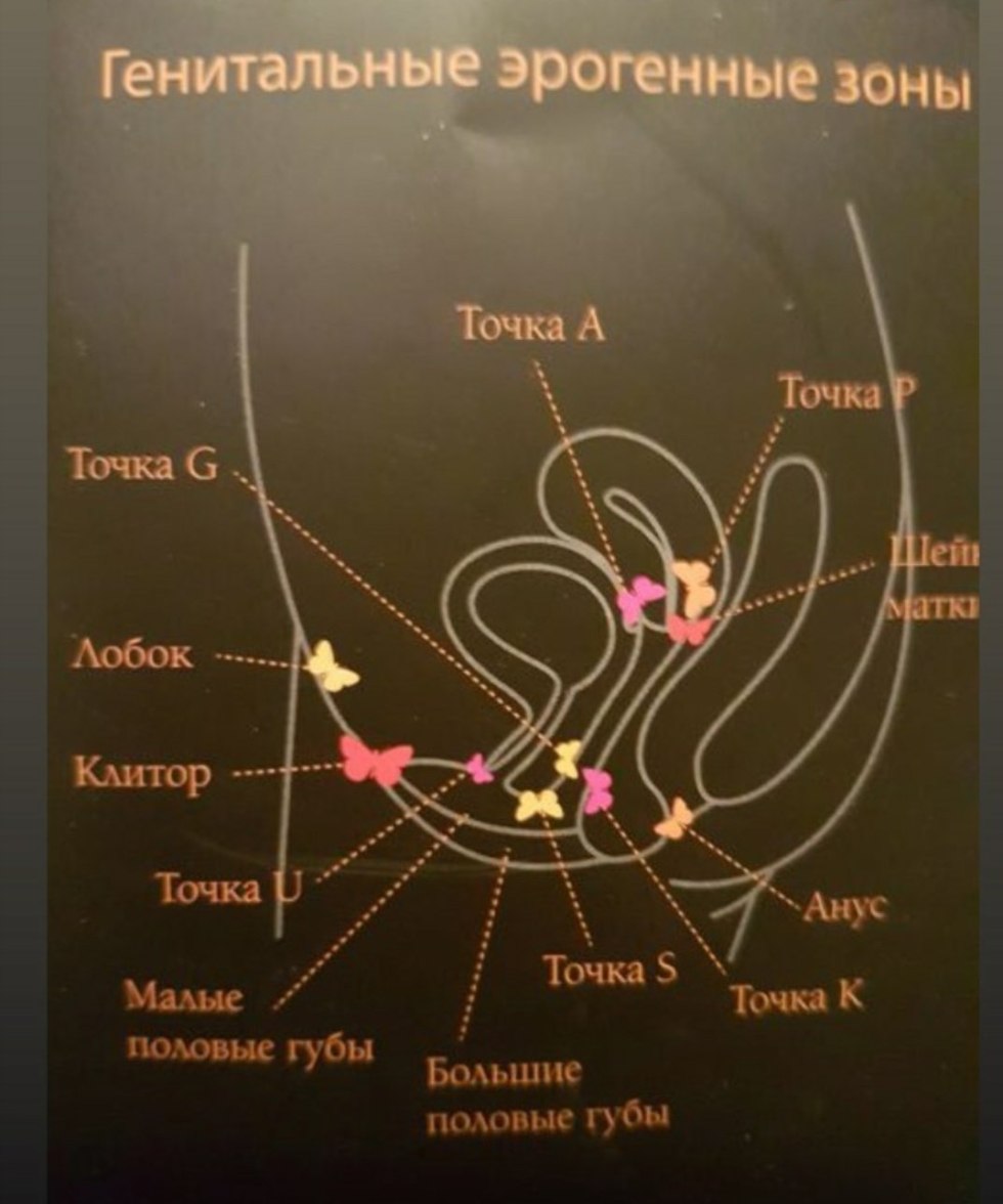 A valuable zone in women