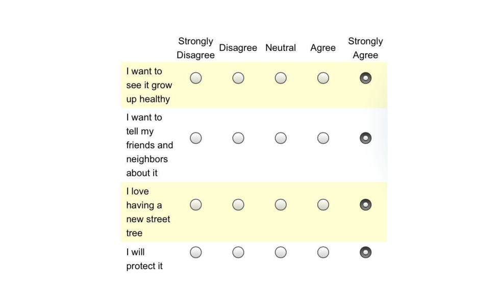 Georgi El Nigno Brothers