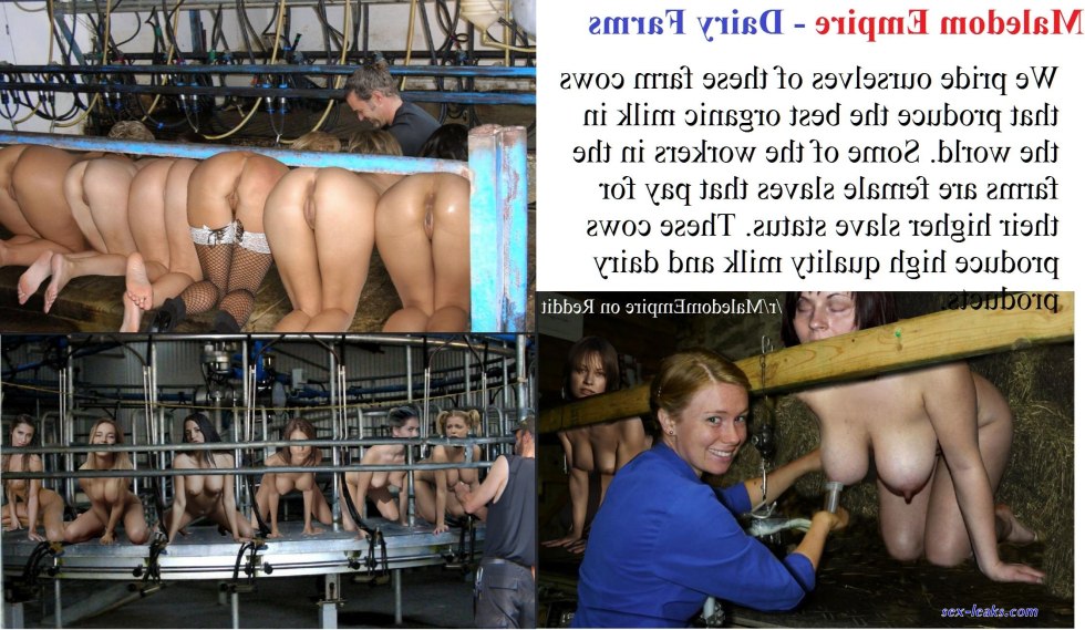 Dairy farm slaves BDSM