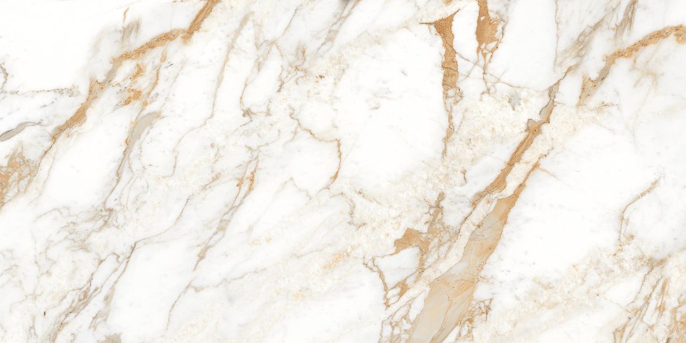 Crammary border Calacatta ORO 120x60