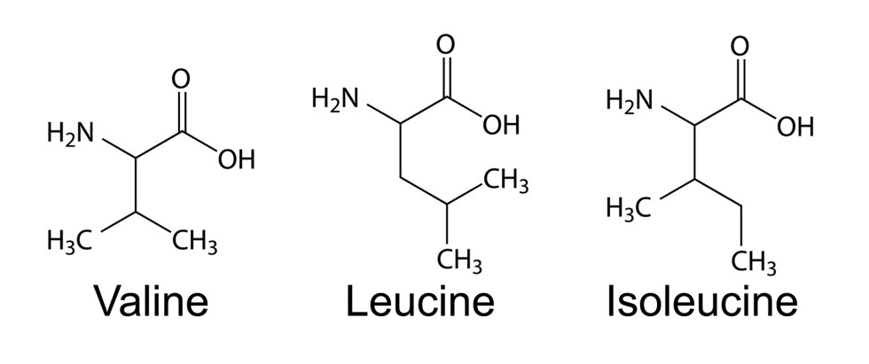Samantha Sint cum in a glass