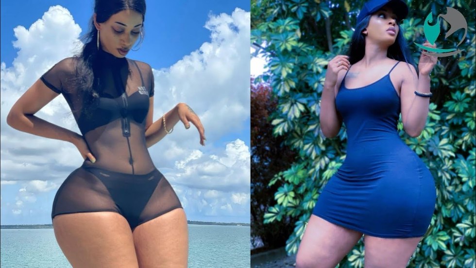 Plus-Size Ashley Graham