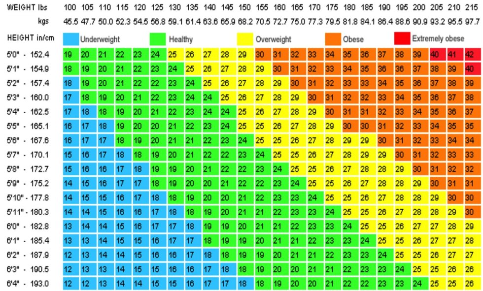 Body weight ratio table