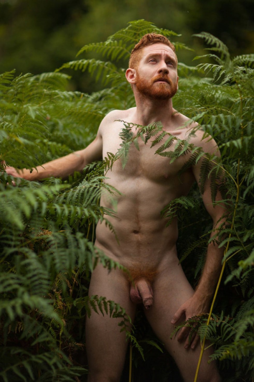 Naked men with hairy breasts