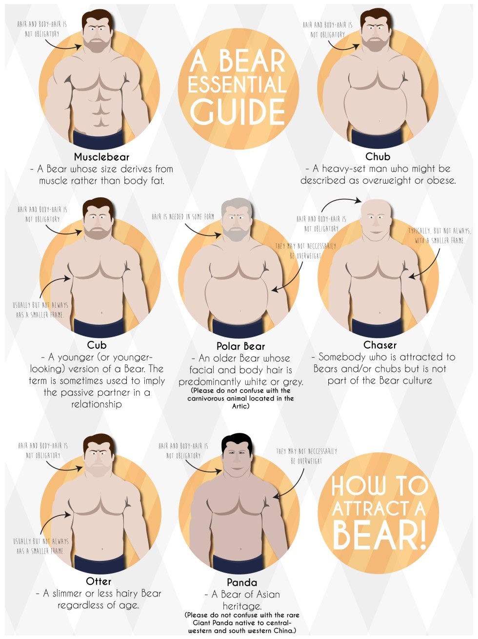 A chubby man Anatomy