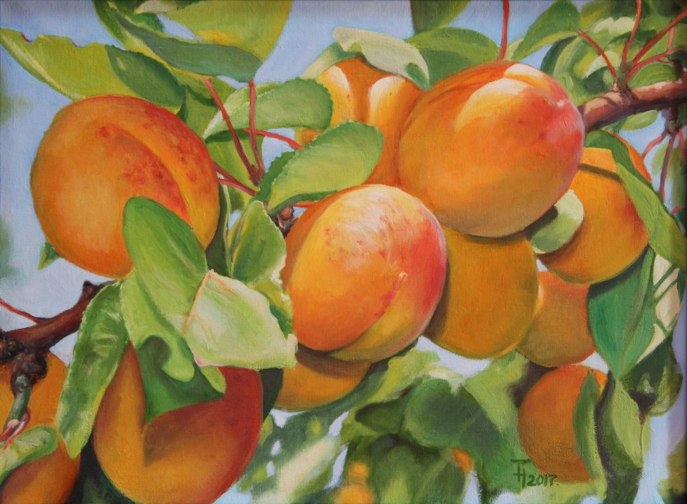 Apricots Painting