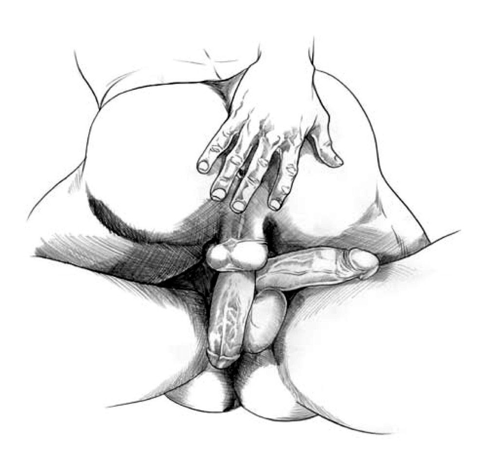 Paolo Serpiers Druuna Anal