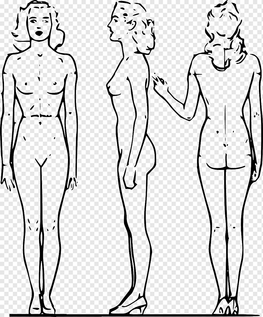 A schematic image of a woman