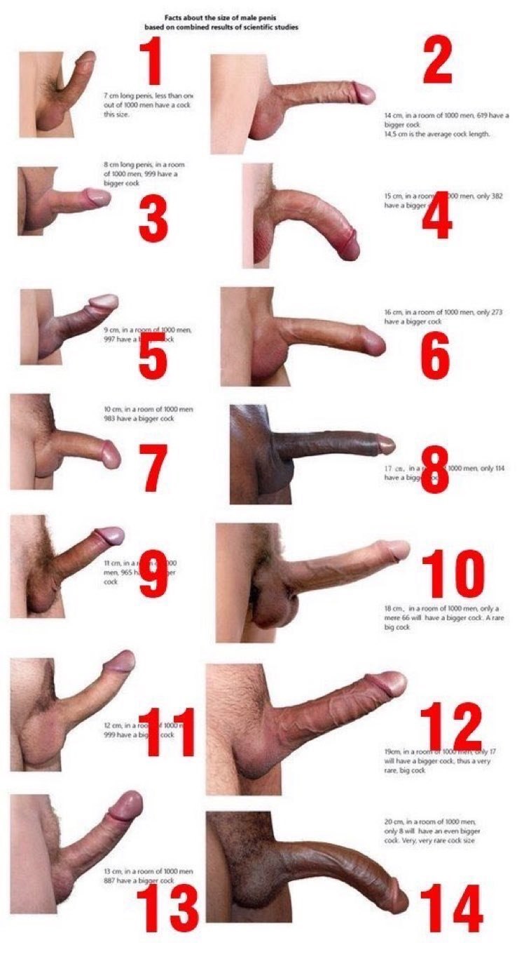 Several beautiful members