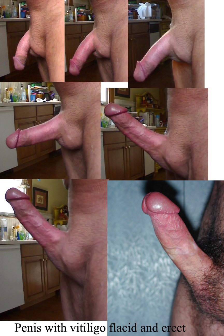 Hentai Futanari Penis Size Chart