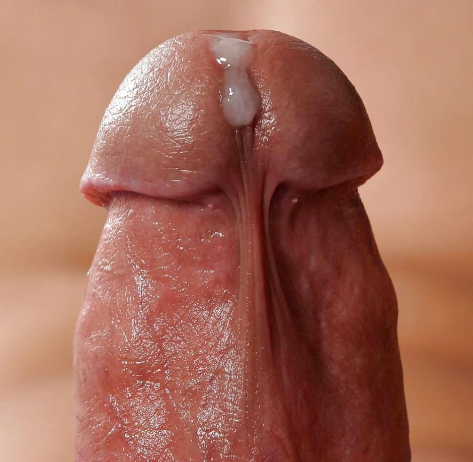 Male dick close -up