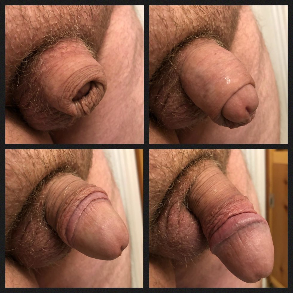 Shaved Circumcified Flaccid Penis at home vagina