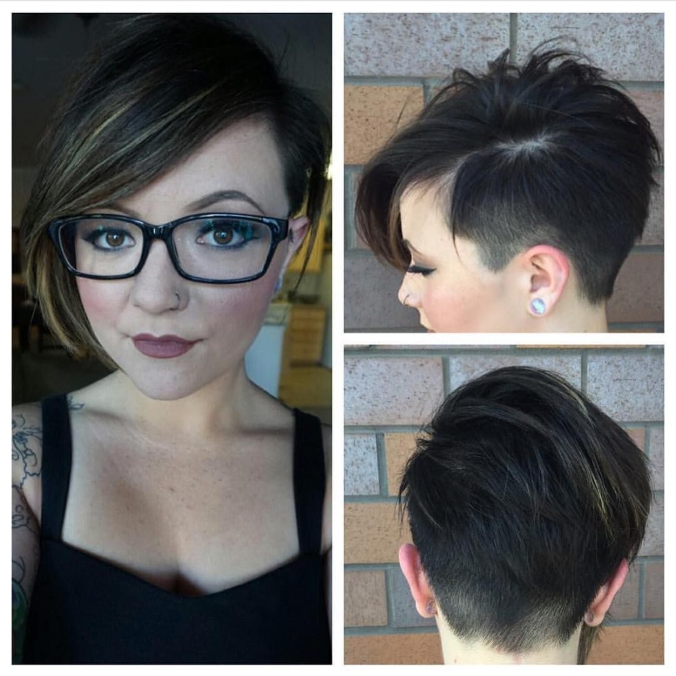Pixie-bob with shaved temples