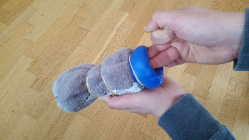 How to Make Pussy At Home