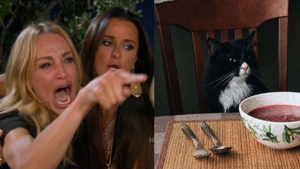 Meme cat and two girls