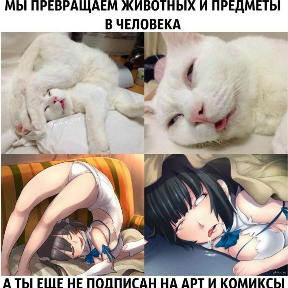 Humanization of a cat