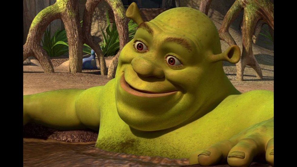 Shrek Gryazeva Shrek in a mud bath