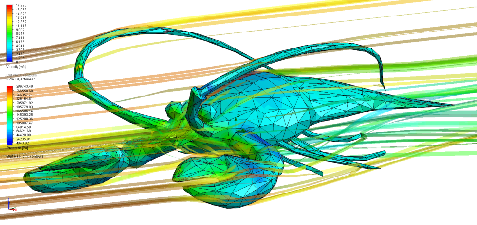 Aerodynamics of the lobster