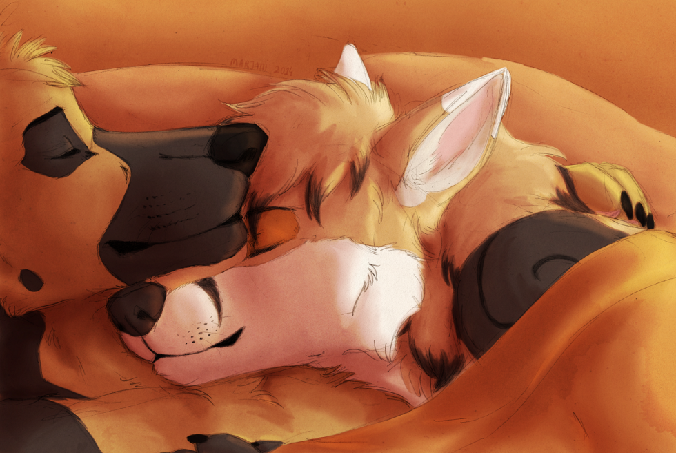 Furry sleep in an embrace