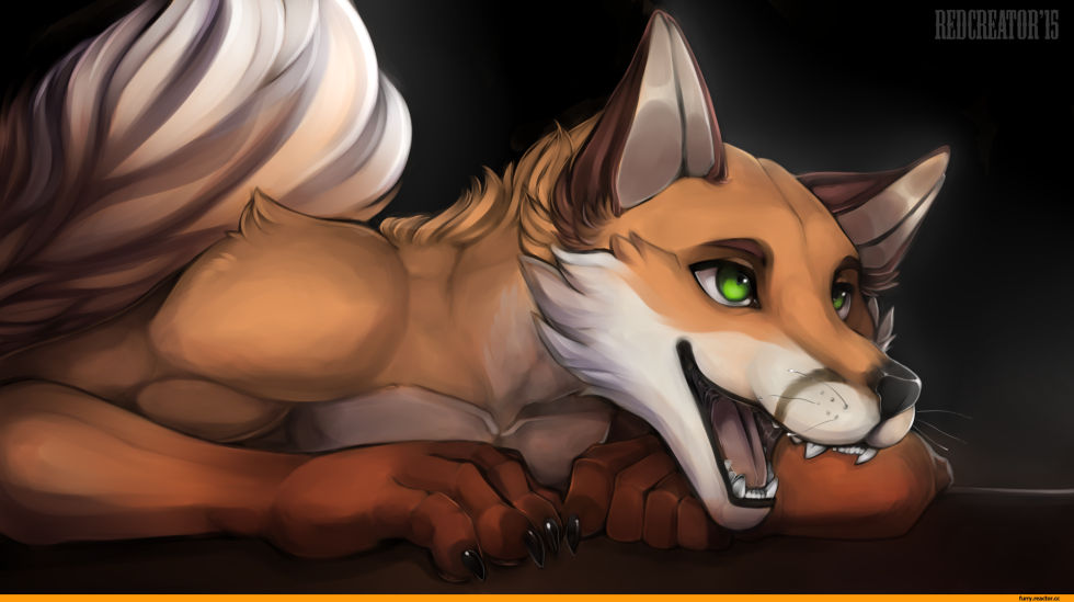 Furry Fox art