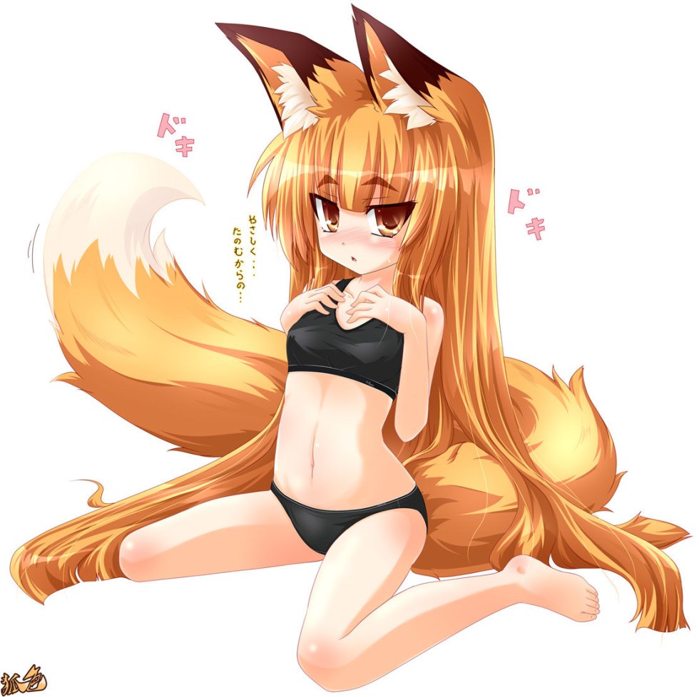Necessary fox