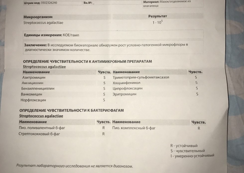 Negroes ended in a private mouth