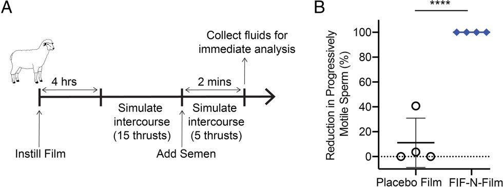 The guy licks pussy mature