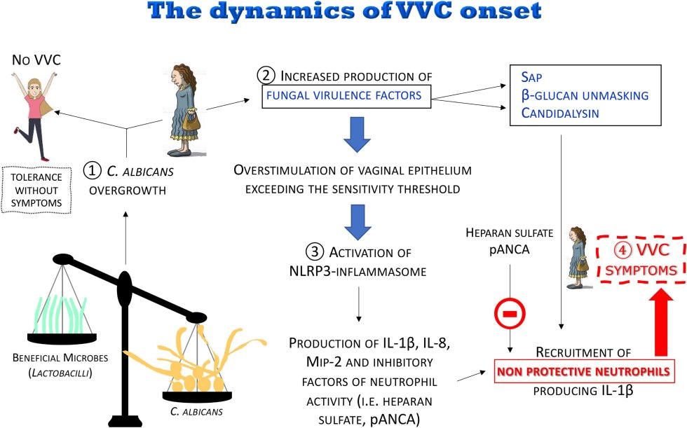Private Negro Cum in his wife