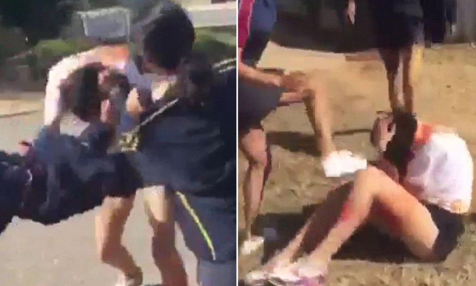 Funny pictures on google cards