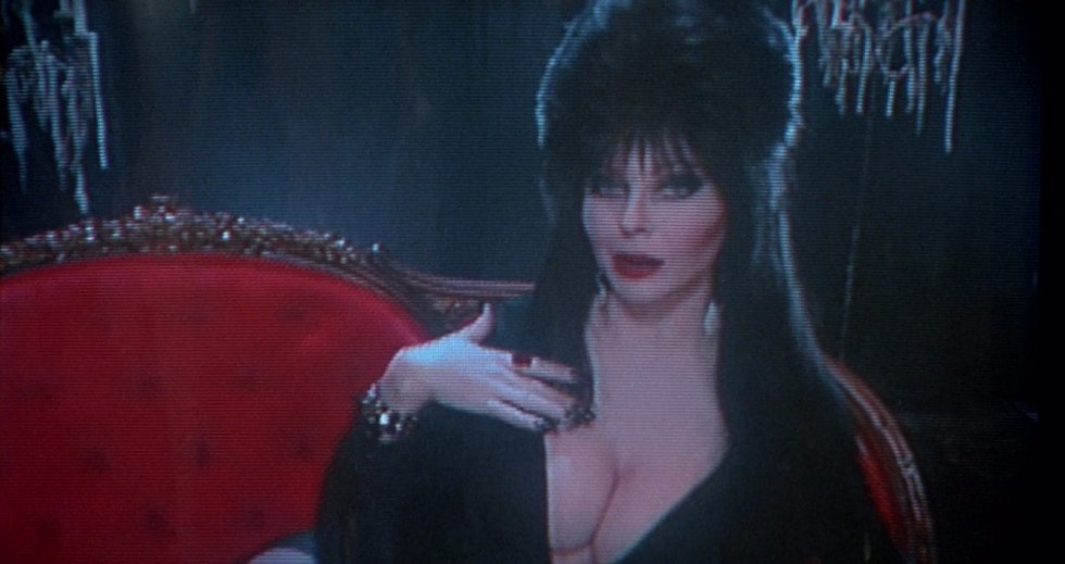 Elvira lord of darkness 18 +