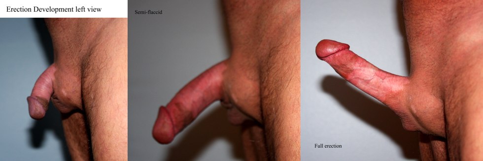 Very beautiful male dick