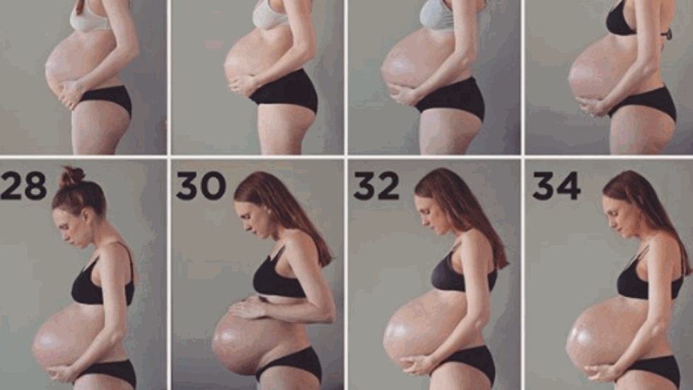 Pregnant Progression