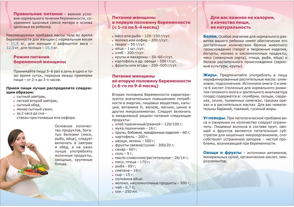 Message of the Pregnant Woman Booklet Day