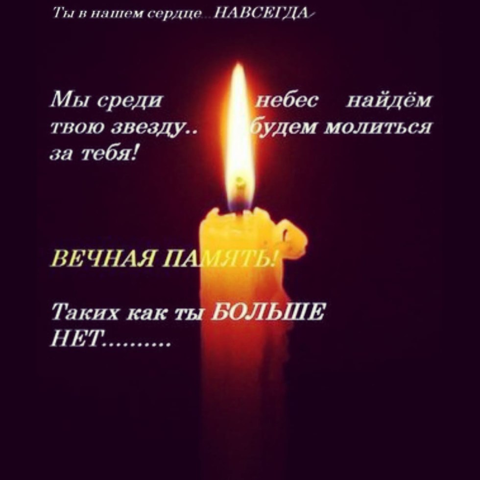 Asterisk Butterfly embarrassed