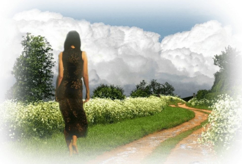 Brawl Stars Leon Collett