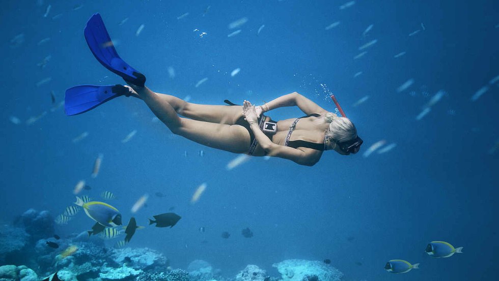 Maldives underwater Snorcling