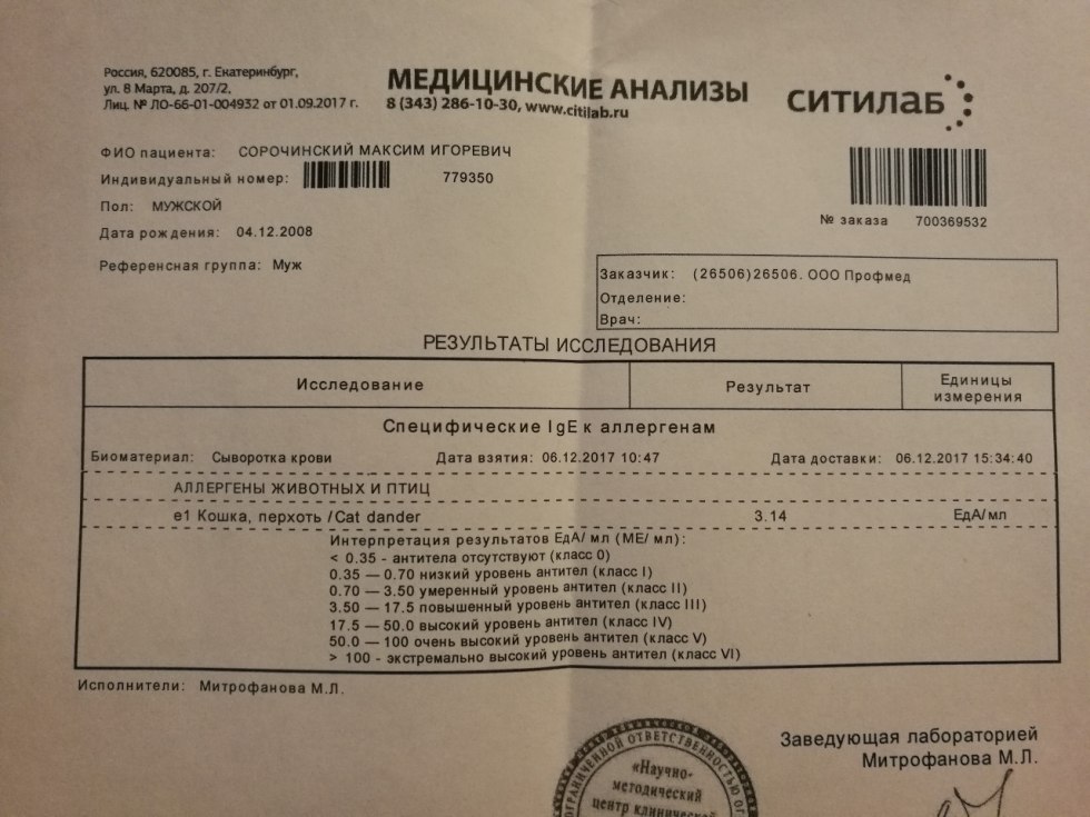 Nekrasova Ekaterina 1994