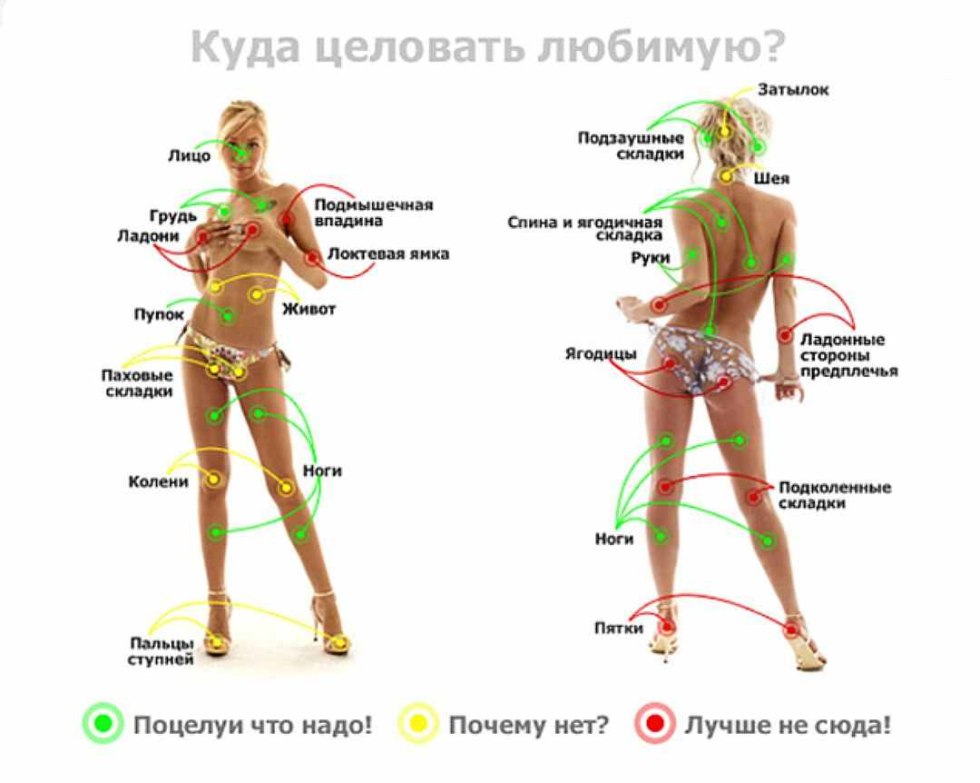 Cat of an entertainment woolen product