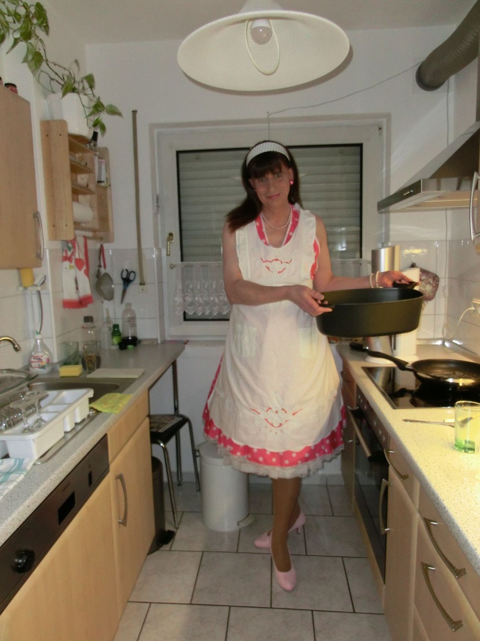 Proud Gay Pet Posing Funny Apron