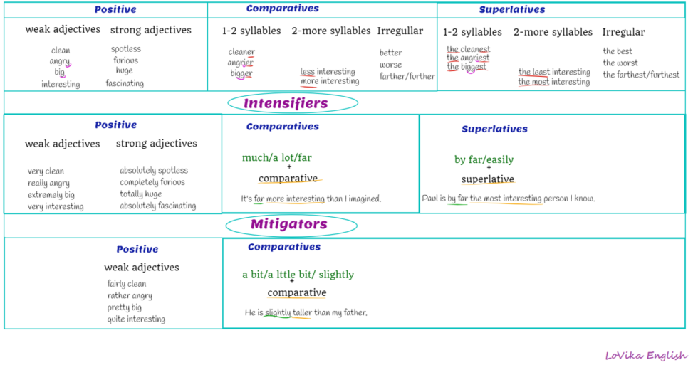 Soome Any Much Many a Lot of a Few a Little Gradu