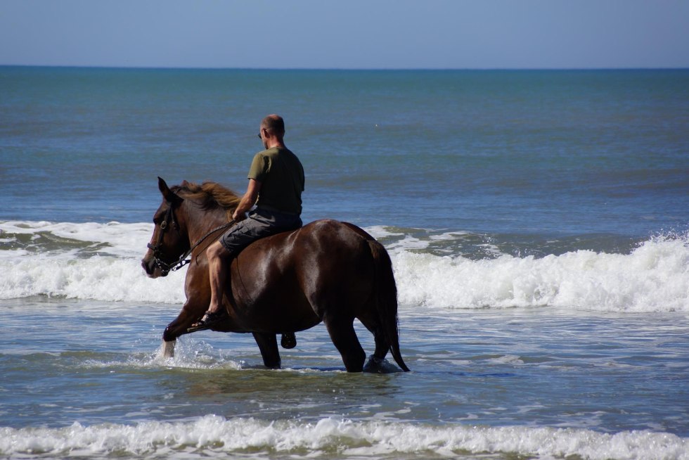 Naturally Andrew Twitterissä: "A Simple Naturist Thumbht for You