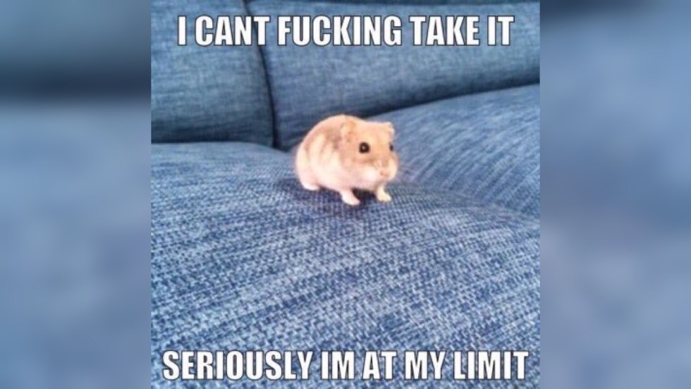 I Cant Take it Anymore